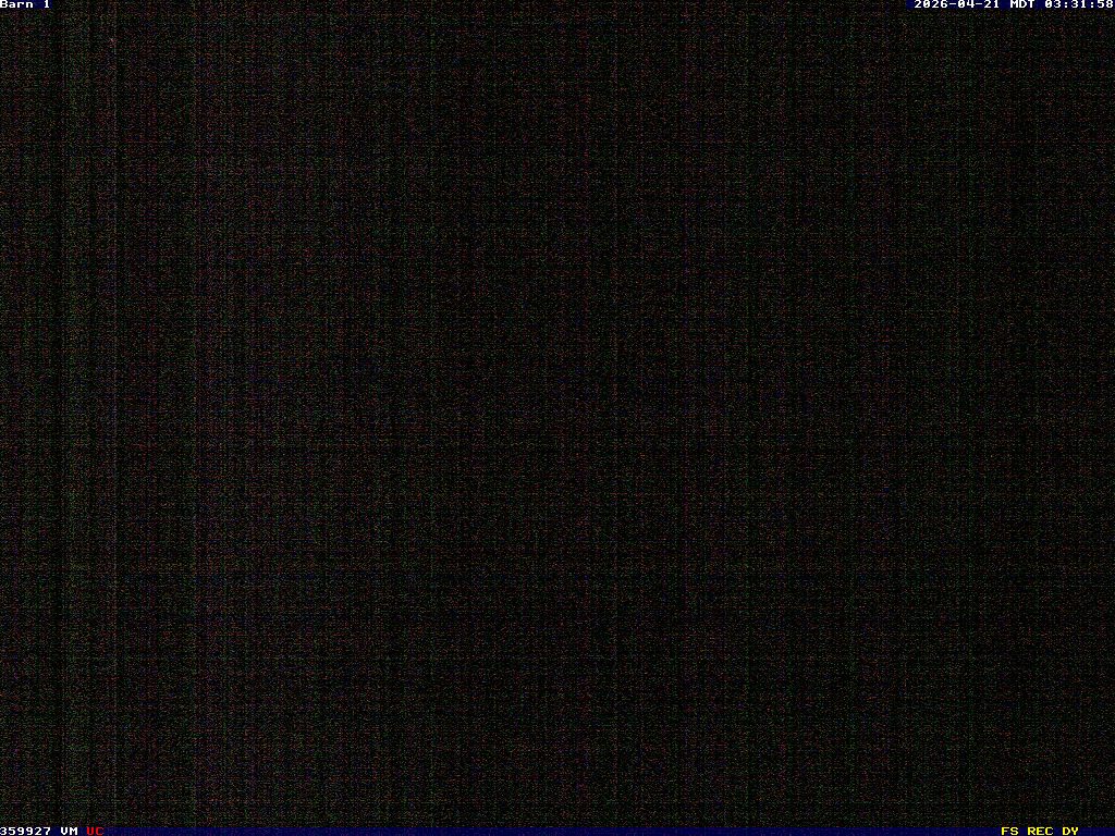 Camera localcam:Event Image #-2