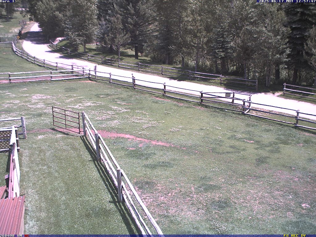 Camera localcam:Last Event Image