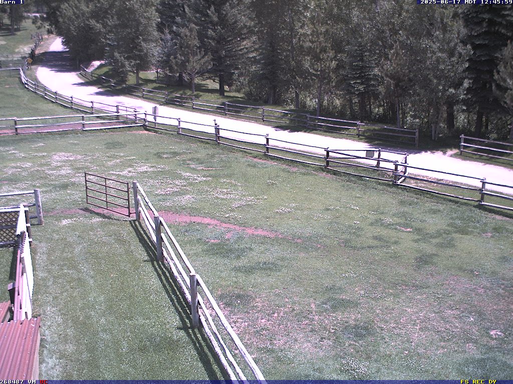 Camera localcam:Event Image #-1