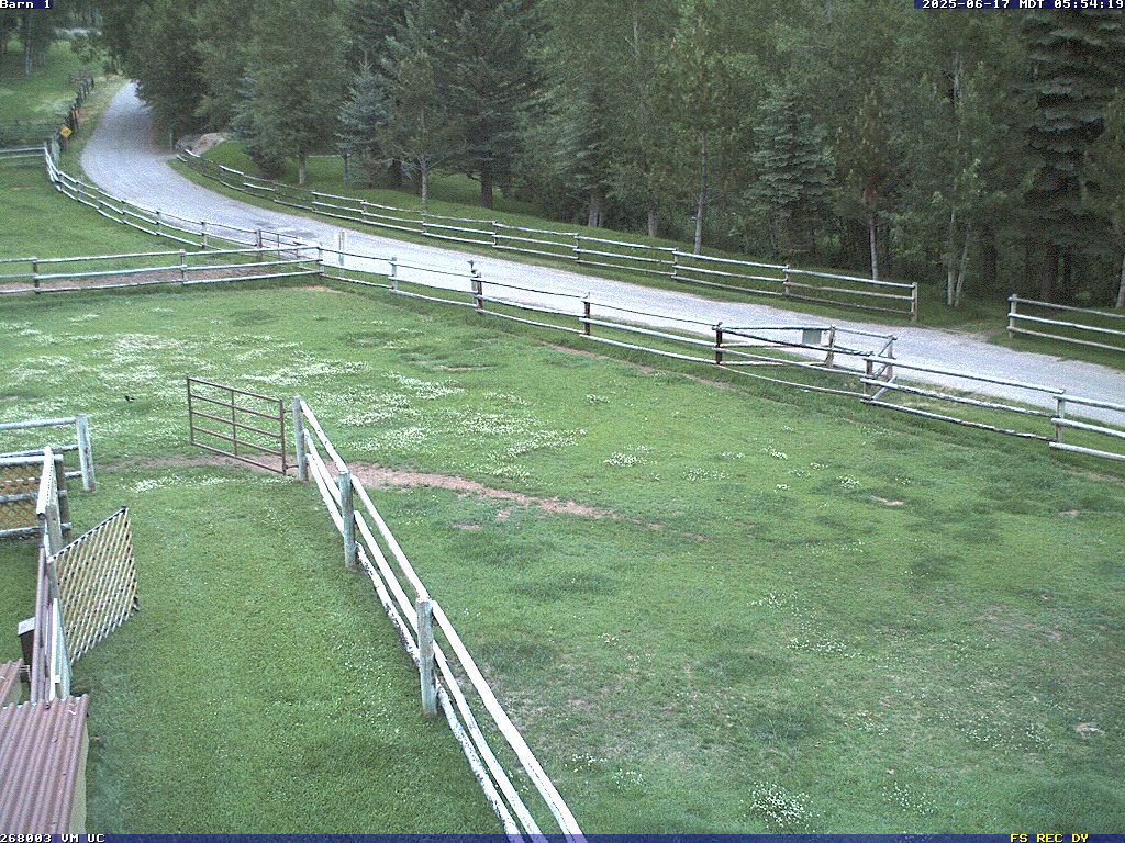 Camera Live Image