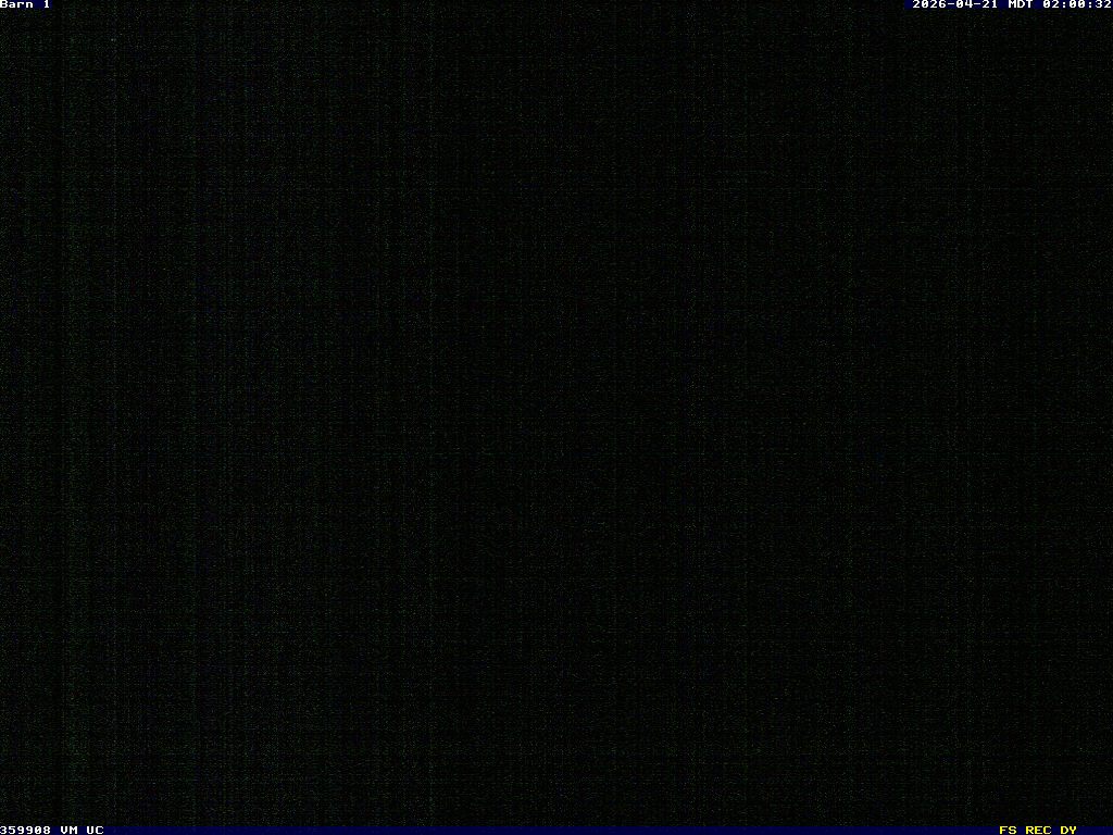 Camera Live Image