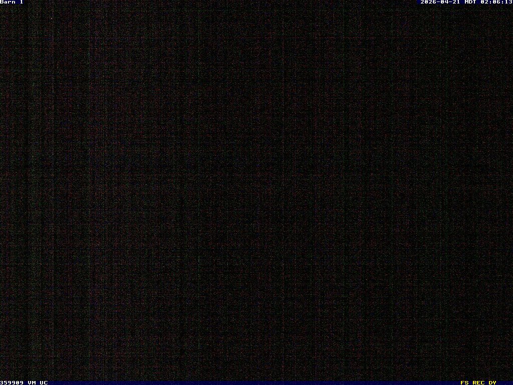 Camera Live Image