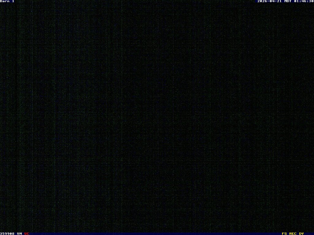 Click image to open image information window