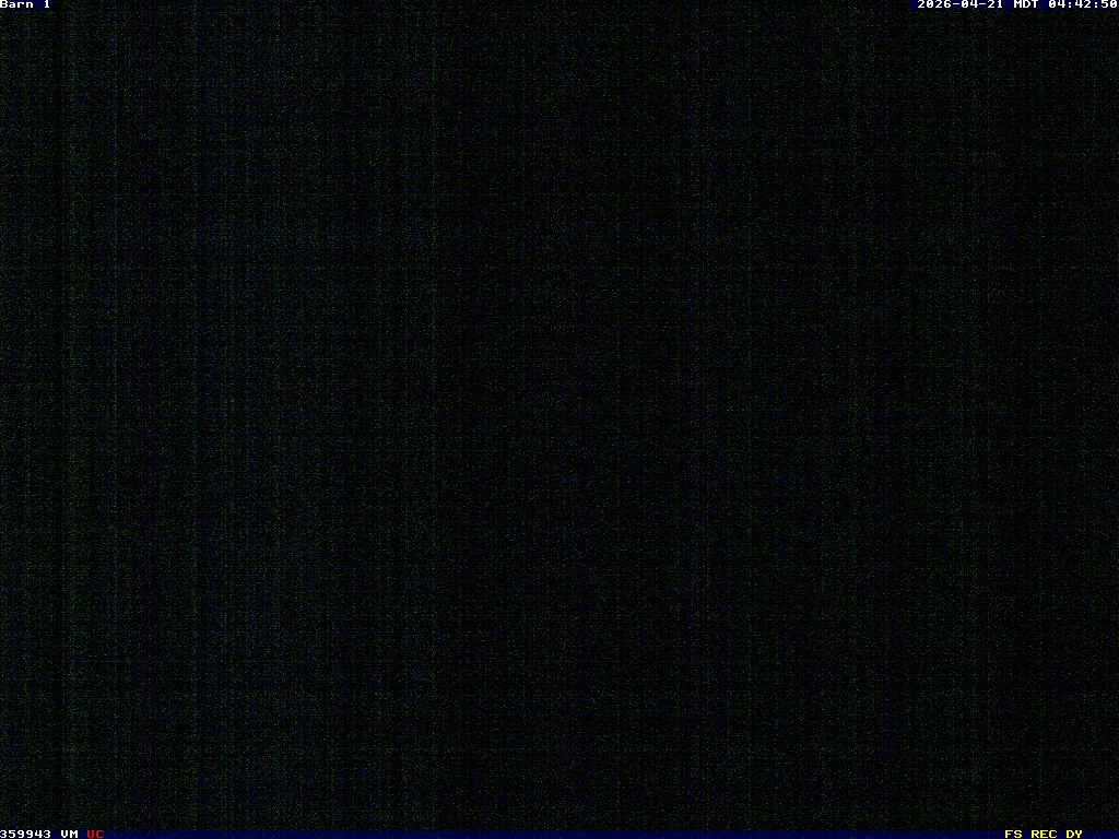 Click image to open image information window